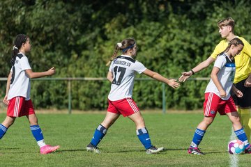 Bild 29 - wBJ VfL Pinneberg - Hamburger SV 2 : Ergebnis: 1:3